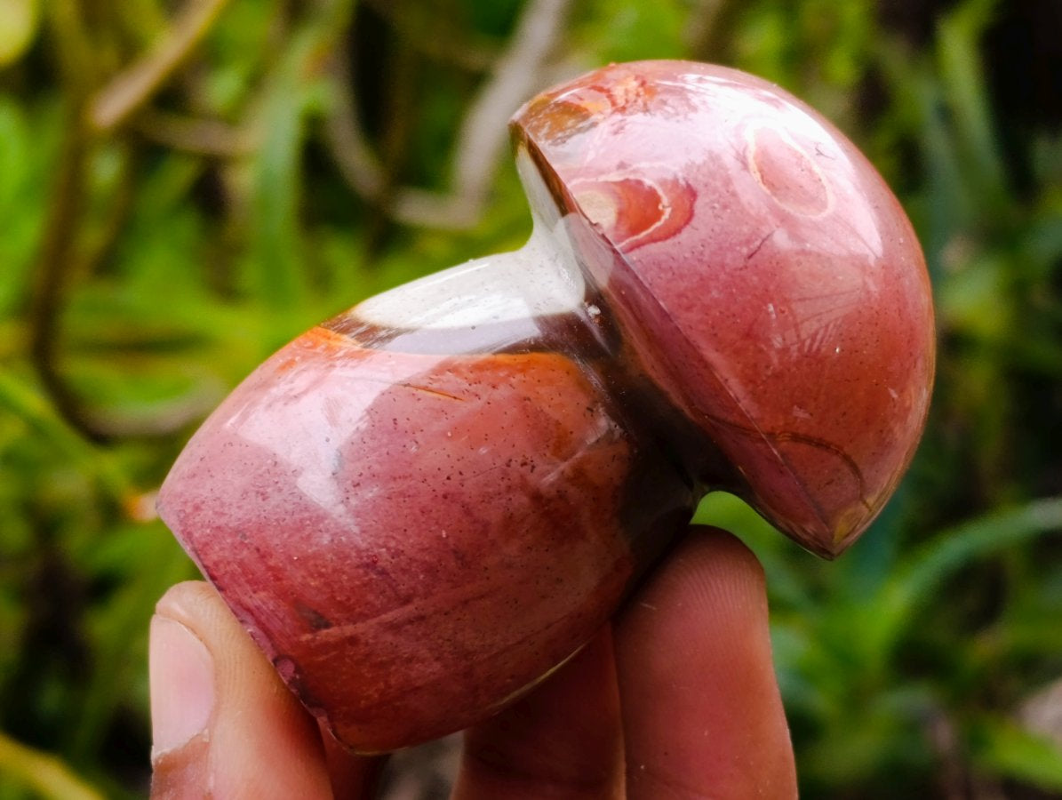 Polished Polychrome Jasper Mushrooms x 12 From NW Coast, Madagascar
