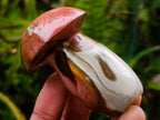 Polished Polychrome Jasper Mushrooms x 12 From NW Coast, Madagascar