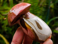 Polished Polychrome Jasper Mushrooms x 12 From NW Coast, Madagascar
