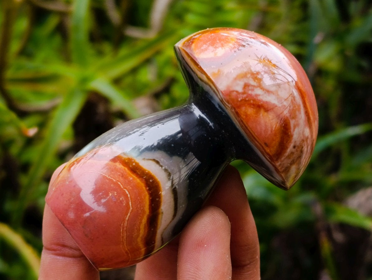 Polished Polychrome Jasper Mushrooms x 12 From NW Coast, Madagascar