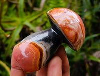 Polished Polychrome Jasper Mushrooms x 12 From NW Coast, Madagascar