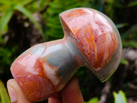 Polished Polychrome Jasper Mushrooms x 12 From NW Coast, Madagascar