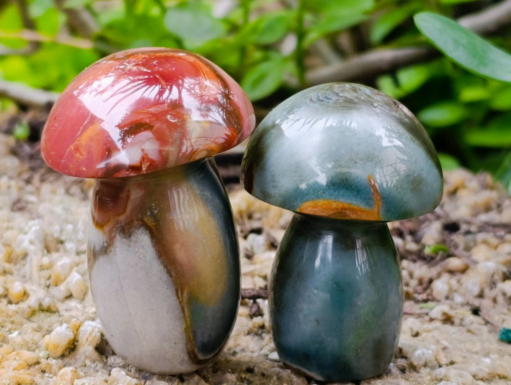 Polished Polychrome Jasper Mushrooms x 12 From NW Coast, Madagascar