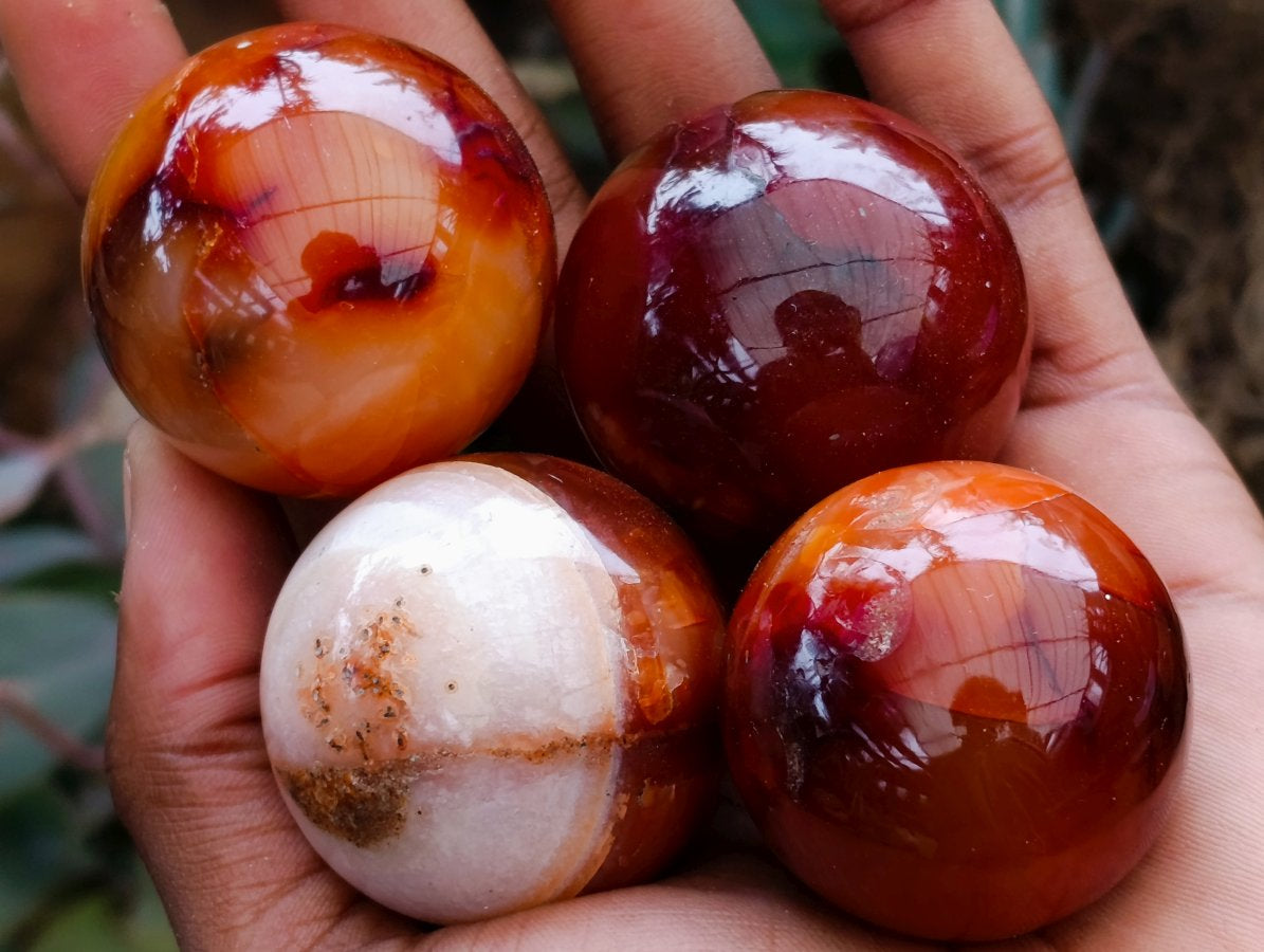 Polished Carnelian Agate Gemstone Spheres x 12 From Madagascar
