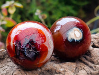Polished Carnelian Agate Gemstone Spheres x 12 From Madagascar