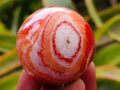 Polished Carnelian Agate Gemstone Spheres x 12 From Madagascar