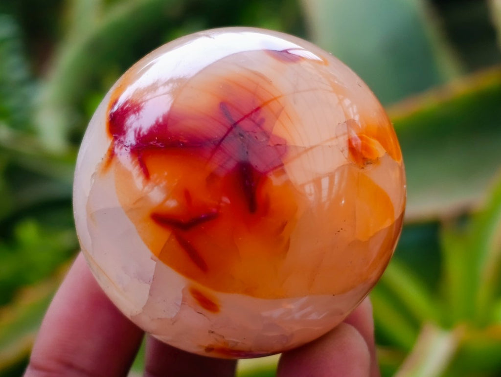 Polished Carnelian Agate Gemstone Spheres x 12 From Madagascar