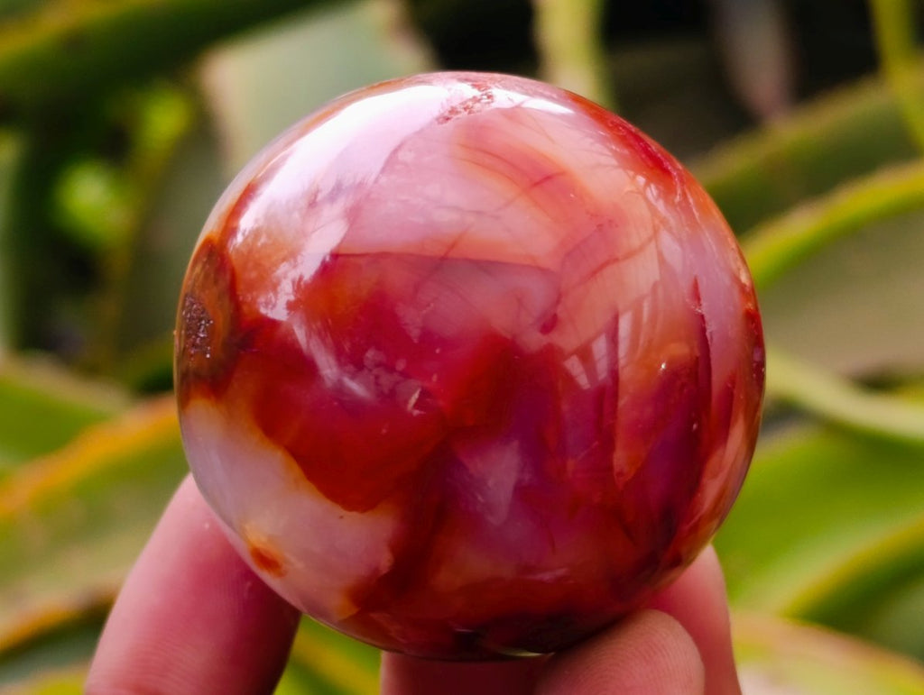 Polished Carnelian Agate Gemstone Spheres x 12 From Madagascar