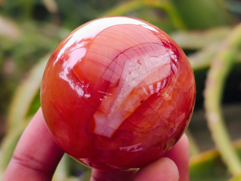 Polished Carnelian Agate Gemstone Spheres x 12 From Madagascar