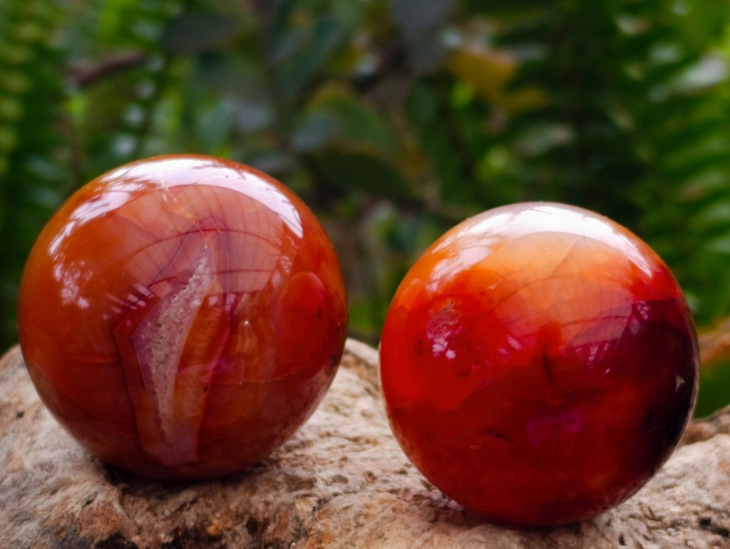 Polished Carnelian Agate Gemstone Spheres x 12 From Madagascar