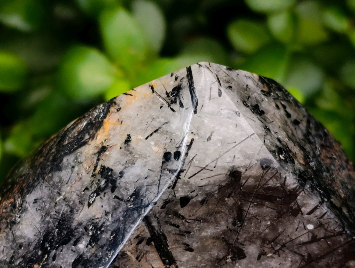 Polished Tourmalinated Inclusion Quartz Crystal x 1 From Madagascar