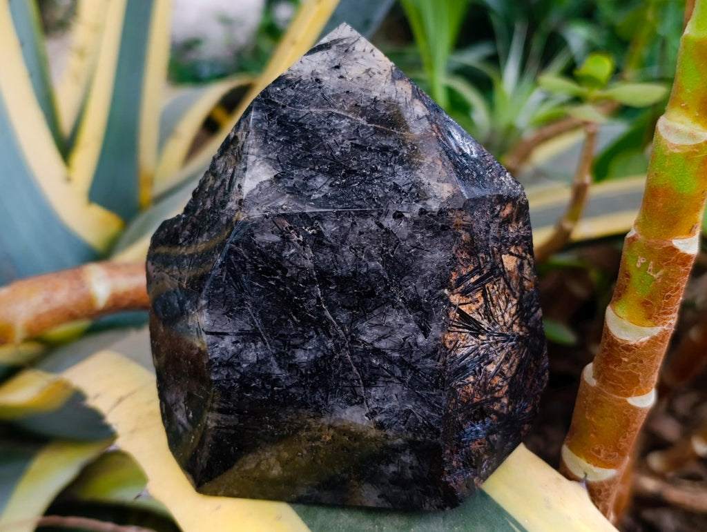 Polished Tourmalinated Inclusion Quartz Crystal x 1 From Madagascar