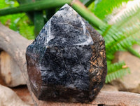 Polished Tourmalinated Inclusion Quartz Crystal x 1 From Madagascar