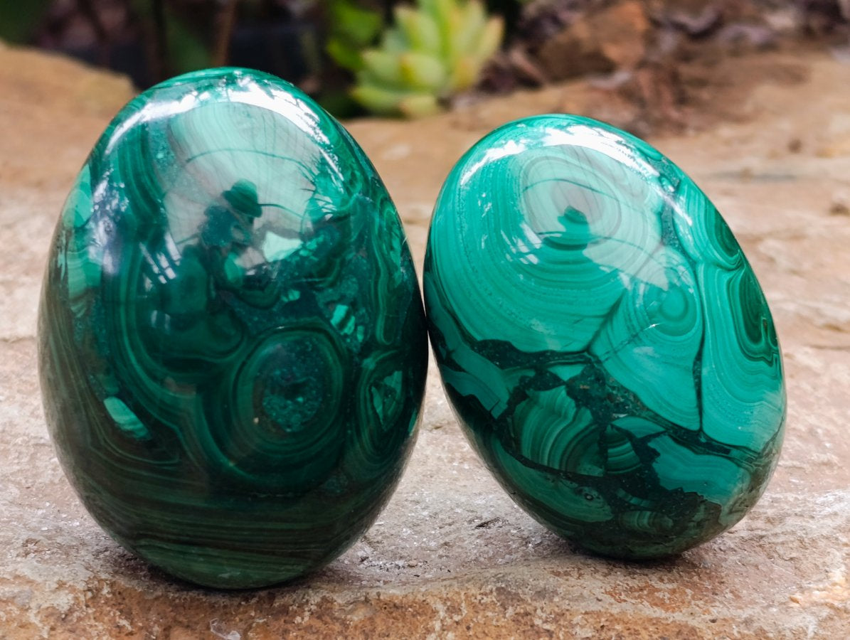 Polished Flower Banded Malachite Gemstone Eggs x 6 From Congo