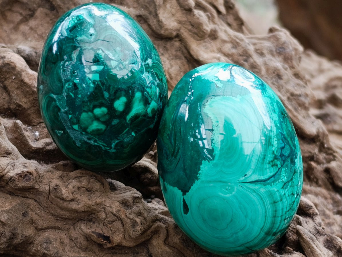 Polished Flower Banded Malachite Gemstone Eggs x 6 From Congo