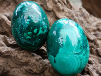 Polished Flower Banded Malachite Gemstone Eggs x 6 From Congo