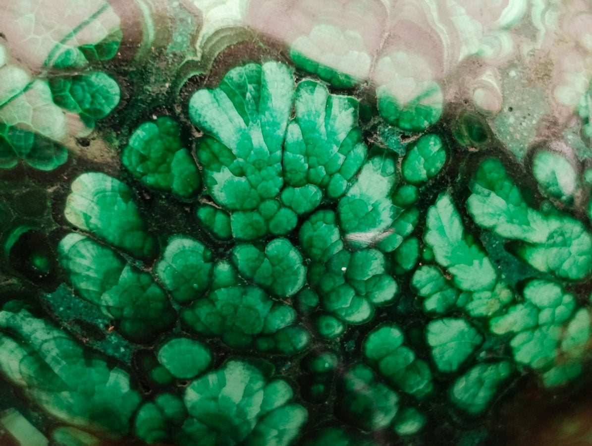 Polished Flower Banded Malachite Gemstone Eggs x 6 From Congo