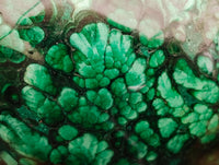 Polished Flower Banded Malachite Gemstone Eggs x 6 From Congo