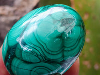 Polished Flower Banded Malachite Gemstone Eggs x 6 From Congo