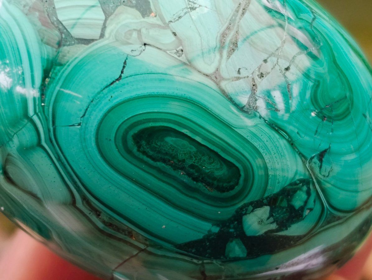 Polished Flower Banded Malachite Gemstone Eggs x 6 From Congo