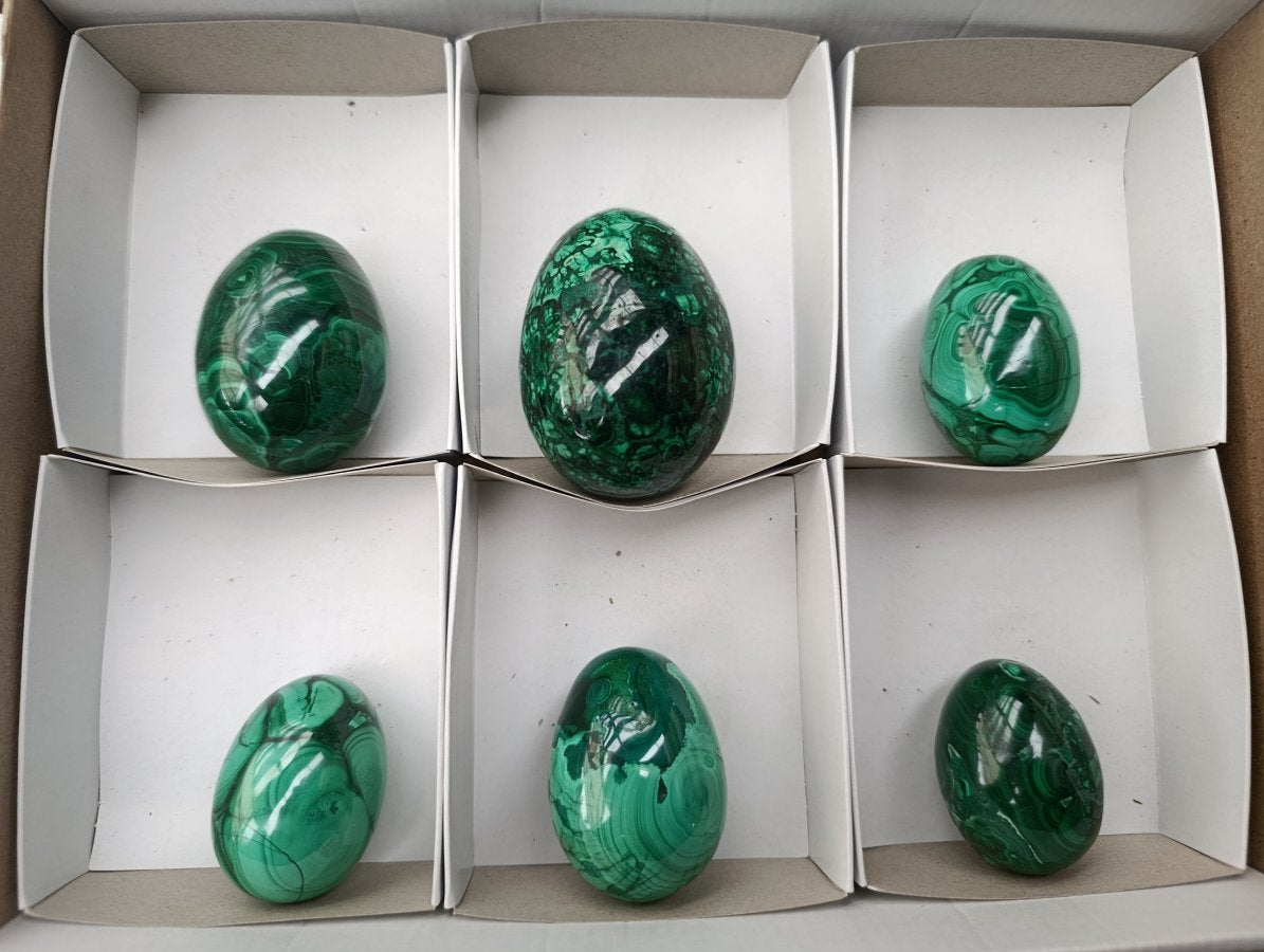 Polished Flower Banded Malachite Gemstone Eggs x 6 From Congo