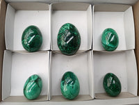 Polished Flower Banded Malachite Gemstone Eggs x 6 From Congo