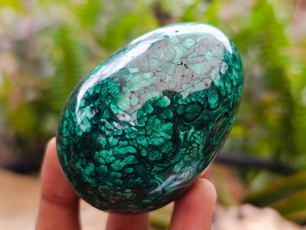 Polished Flower Banded Malachite Gemstone Eggs x 6 From Congo