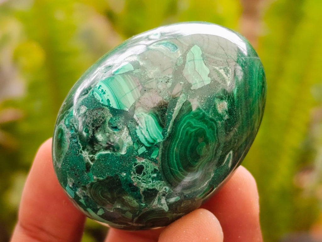 Polished Flower Banded Malachite Gemstone Eggs x 6 From Congo