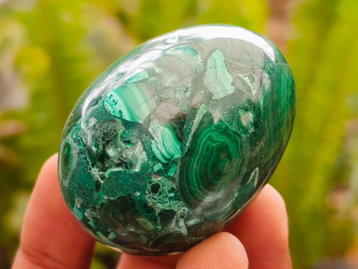 Polished Flower Banded Malachite Gemstone Eggs x 6 From Congo