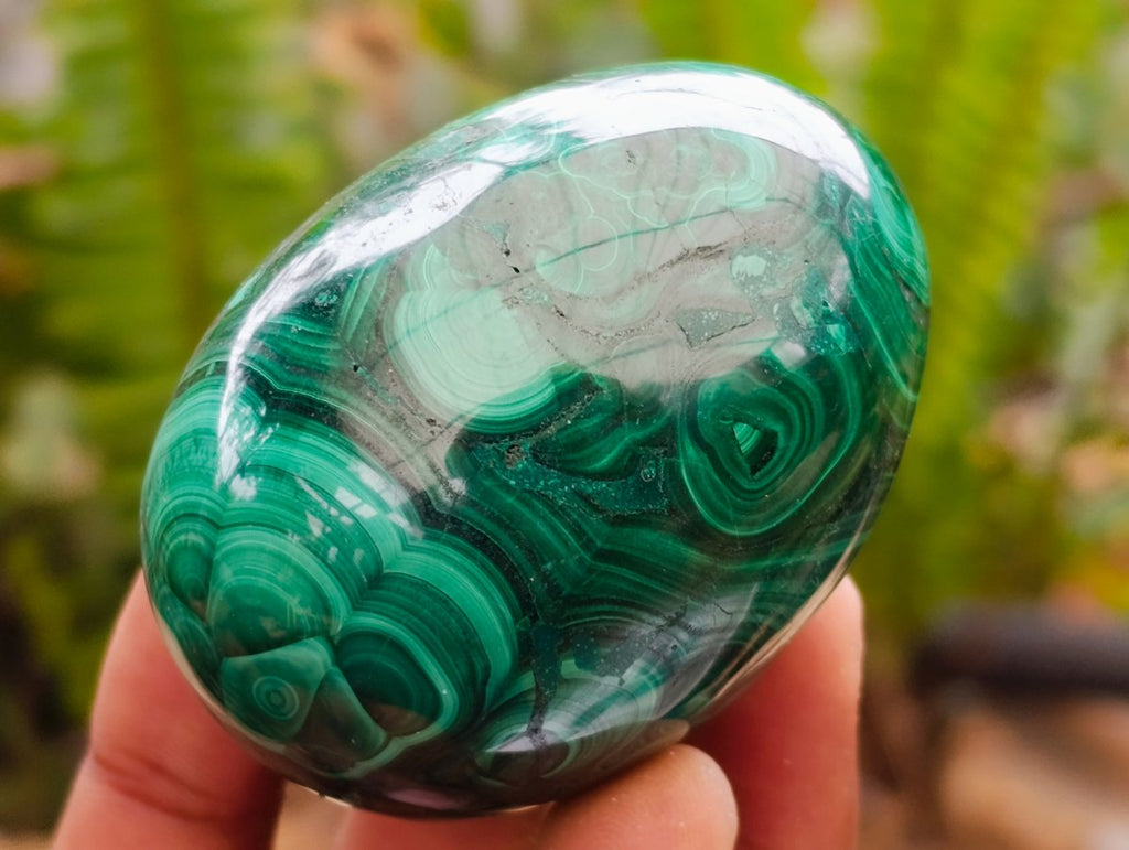 Polished Flower Banded Malachite Gemstone Eggs x 6 From Congo