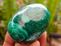 Polished Flower Banded Malachite Gemstone Eggs x 6 From Congo