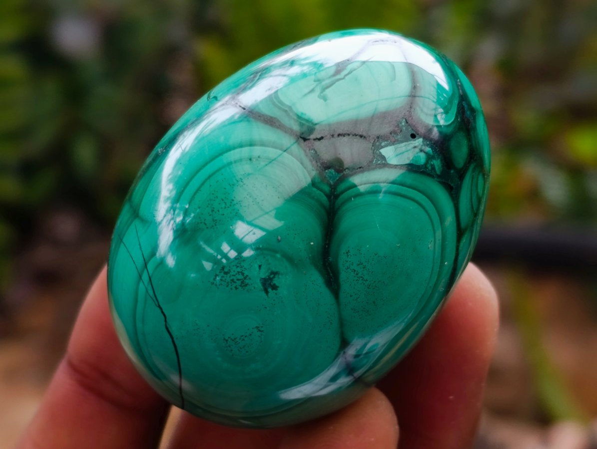 Polished Flower Banded Malachite Gemstone Eggs x 6 From Congo