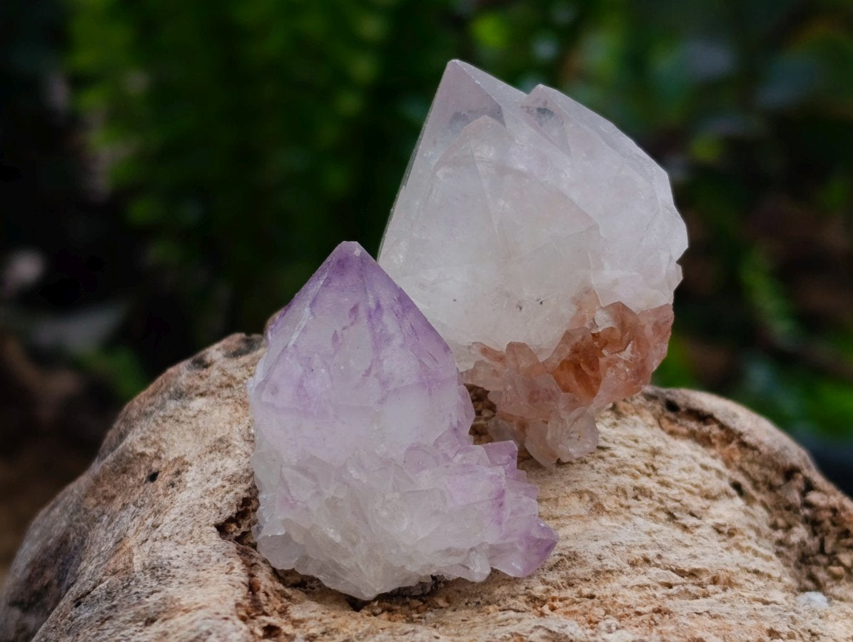 Natural Amethyst Spirit Crystals and Clusters x 105 From Boekenhouthoek, South Africa