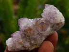 Natural Amethyst Spirit Crystals and Clusters x 105 From Boekenhouthoek, South Africa