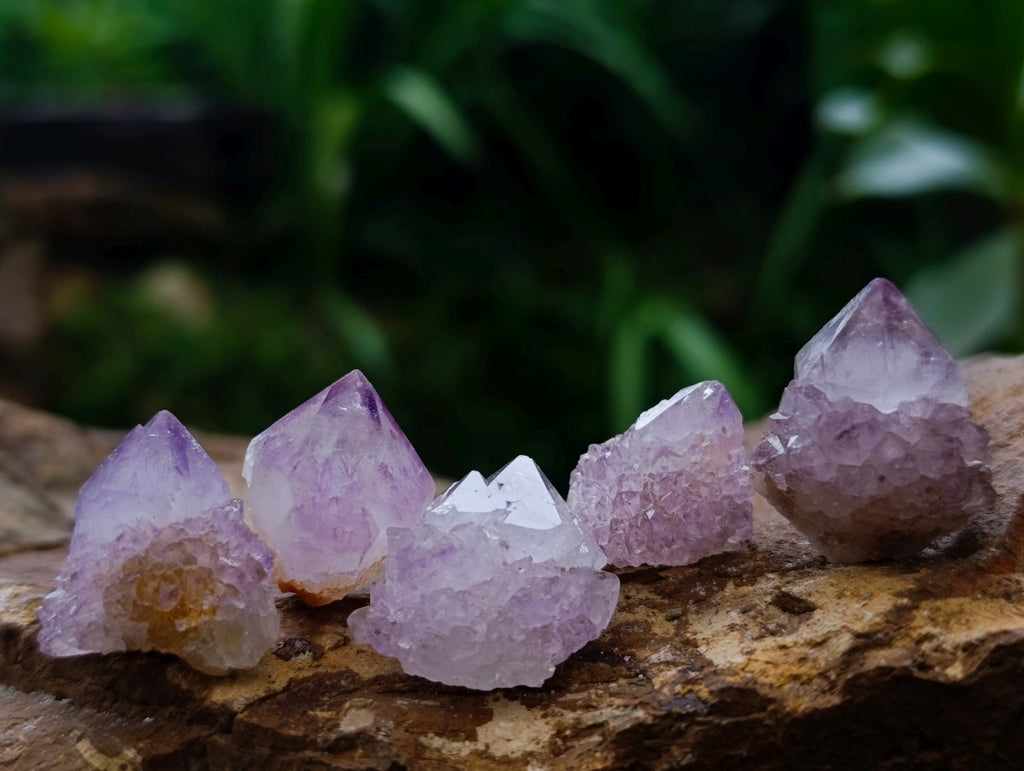 Natural Amethyst Spirit Crystals and Clusters x 105 From Boekenhouthoek, South Africa