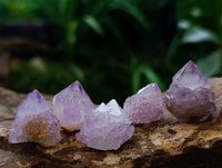 Natural Amethyst Spirit Crystals and Clusters x 105 From Boekenhouthoek, South Africa