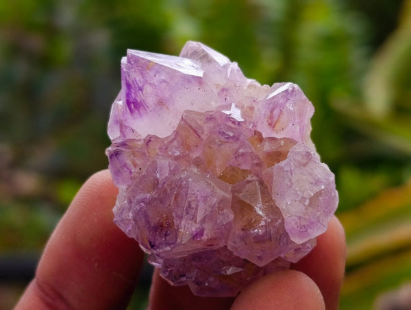 Natural Amethyst Spirit Crystals and Clusters x 105 From Boekenhouthoek, South Africa