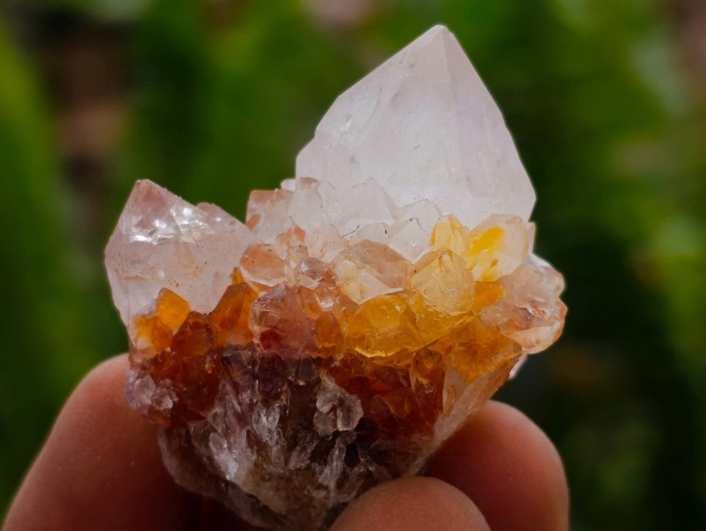 Natural Amethyst Spirit Crystals and Clusters x 105 From Boekenhouthoek, South Africa