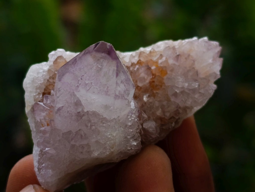 Natural Amethyst Spirit Crystals and Clusters x 105 From Boekenhouthoek, South Africa