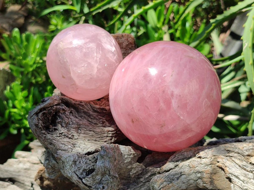 Polished Gemmy Star Rose Quartz Spheres x 2 From Madagascar