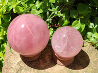 Polished Gemmy Star Rose Quartz Spheres x 2 From Madagascar