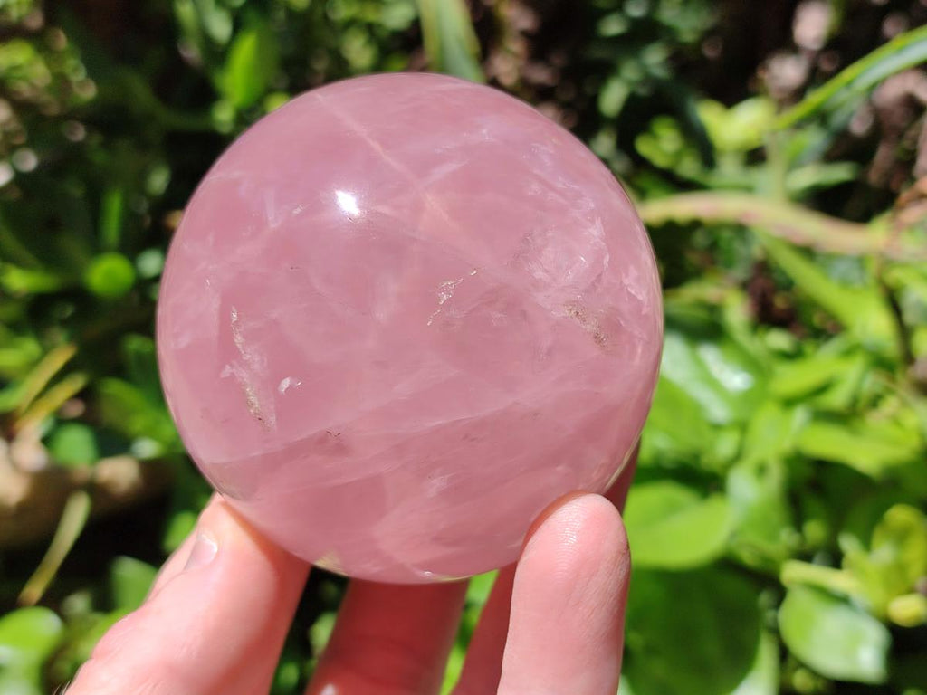 Polished Gemmy Star Rose Quartz Spheres x 2 From Madagascar