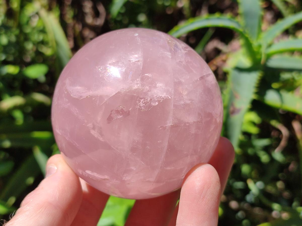 Polished Gemmy Star Rose Quartz Spheres x 2 From Madagascar