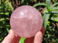 Polished Gemmy Star Rose Quartz Spheres x 2 From Madagascar