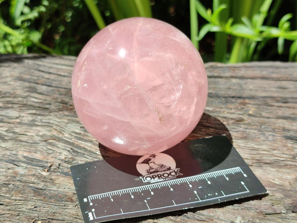 Polished Gemmy Star Rose Quartz Spheres x 2 From Madagascar