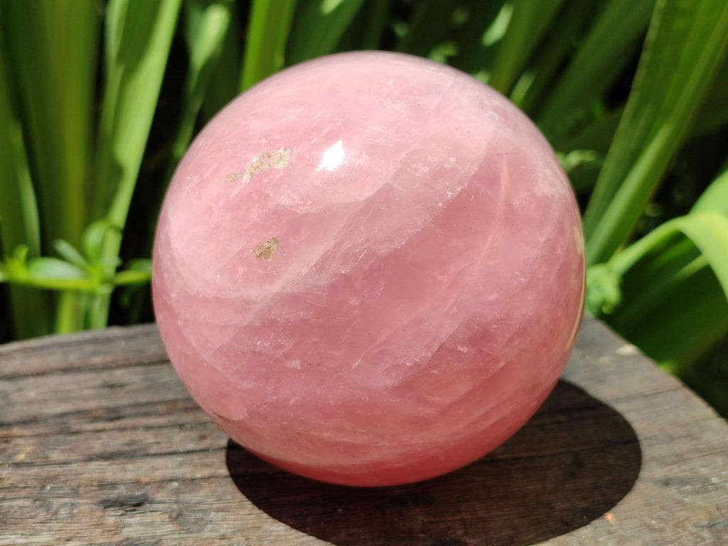Polished Gemmy Star Rose Quartz Spheres x 2 From Madagascar