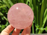 Polished Gemmy Star Rose Quartz Spheres x 2 From Madagascar