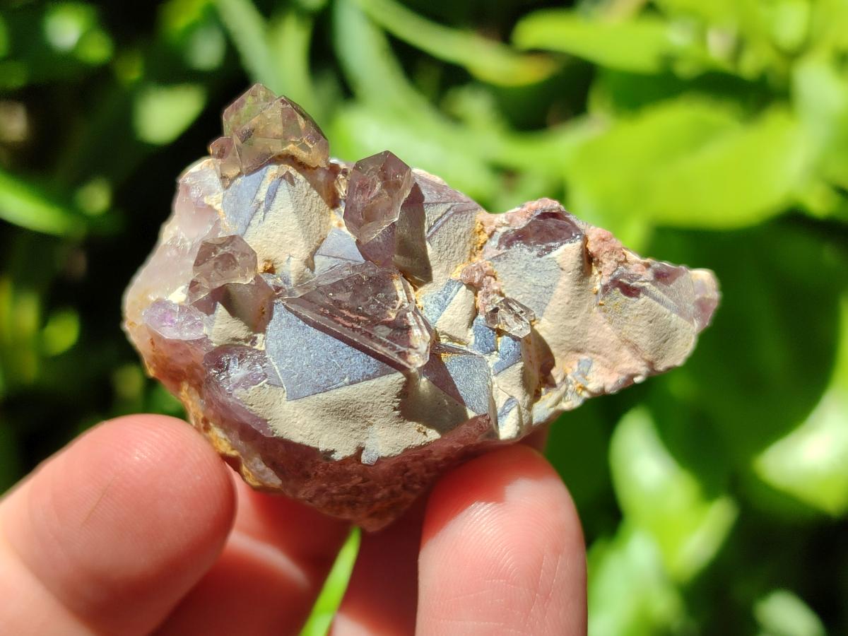 Natural Rare Asylum Quartz Clusters x 12 From Luena, Congo