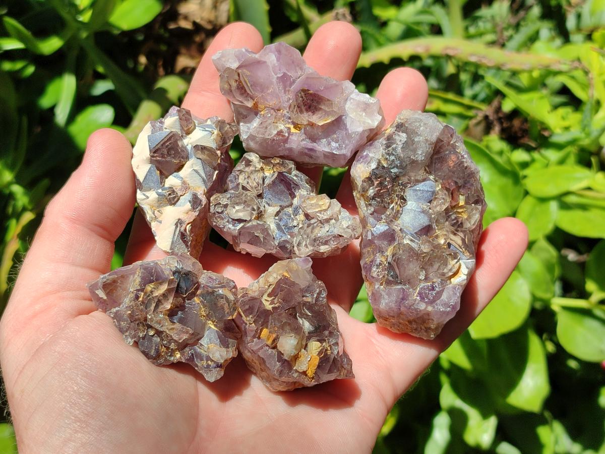 Natural Rare Asylum Quartz Clusters x 12 From Luena, Congo