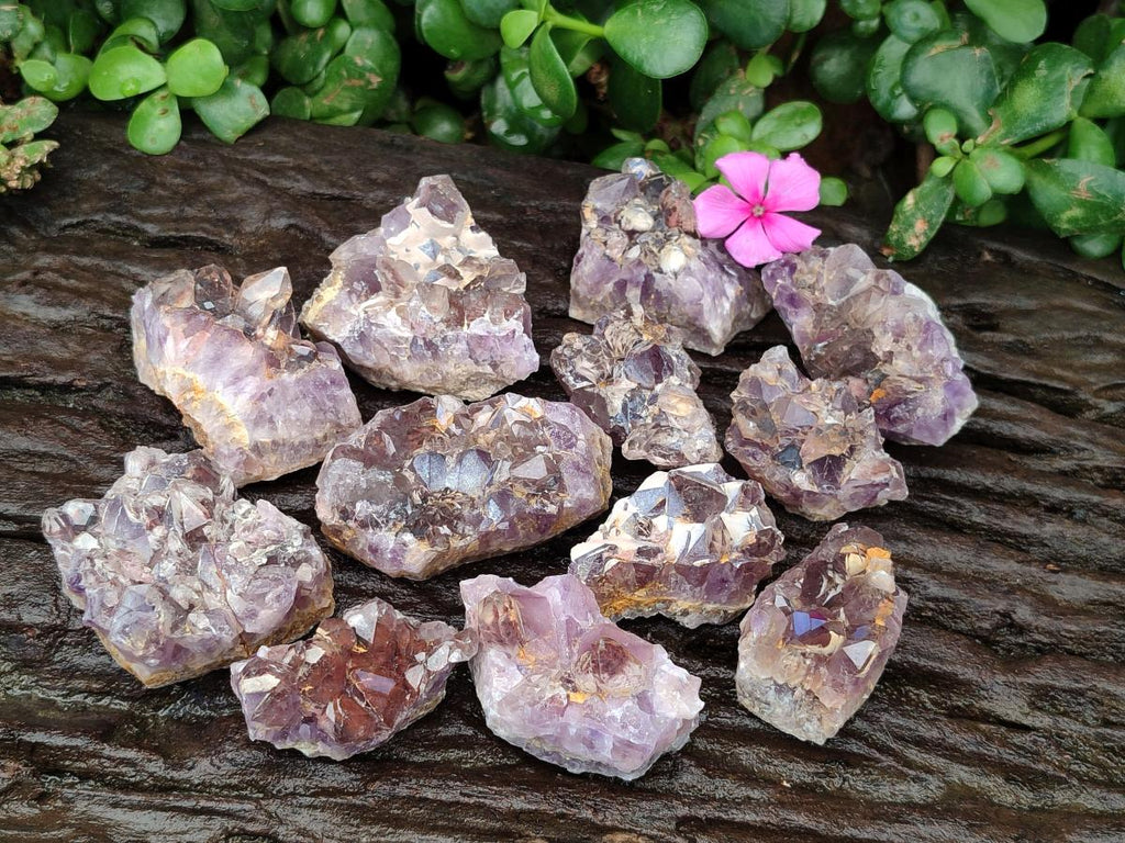 Natural Rare Asylum Quartz Clusters x 12 From Luena, Congo